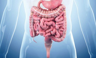 imagen Consejos para mantener un colon saludable